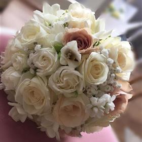 fwthumb464816920_8596711937081015_2425430306647222939_n - Copy.jpg